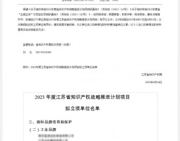 <em>亨通光电</em>入选2023年度江苏省知识产权战略推进计划项目（名单）