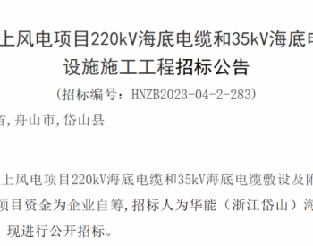 招标 | 华能浙江岱山306MW海上风电相关项目招标