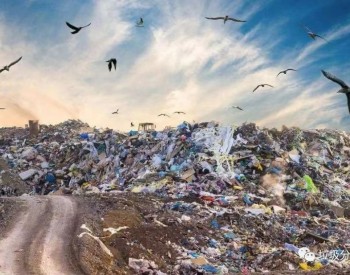 垃圾分类：垃圾的第一性原理，垃圾是污染物还是资源物？