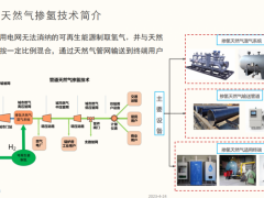 王洪建：天然气掺氢技术发展现状及应用