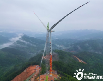 广西单体核准容量最大风电项目首台风机吊装完成