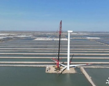 河北海港区：海上风电建设跑出“加速度”