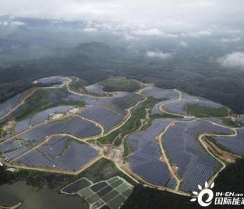 “两手抓”！马来西<em>亚大</em>力推动可再生能源市场