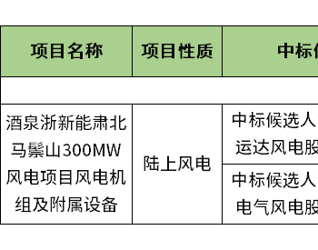 中标 | 浙能300MW风电项目中标候选人<em>敲定</em>：运达、东方风电预中标！
