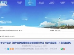 贵州新型储能管理办法：新能源配储10%/2h、电网侧