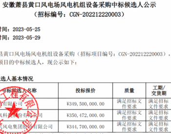 中标 | <em>中广核</em>2个风电项目候选人公示