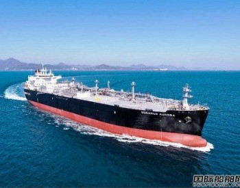 饭野海运双燃料VLGC获Borealis长期租船合同