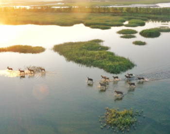 长江源头首处国际重要<em>湿地</em>：37年鸟类种群增长105种