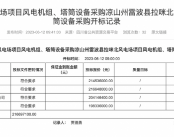 招标 | 开标了！风机含塔筒报价<em>重现</em>3000元/KW！