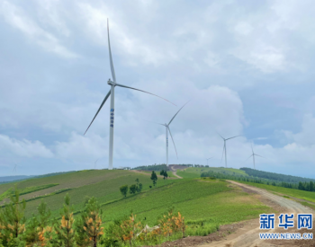 投资10.87亿元！风电产业为黑龙江经济注入新活力