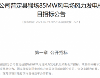 招标 | 共计145MW！2个风电项目招标