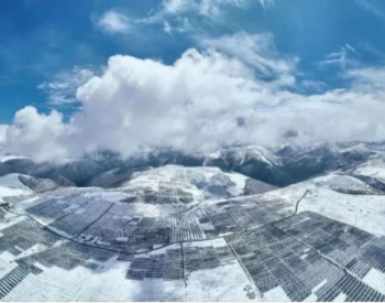全球最大、海拔最高！晶科能源N型Tiger Neo助力雅砻江水光互补项目投产发电