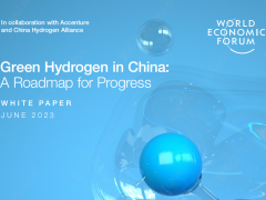 世界经济论坛发布中国<em>绿色氢能产业</em>发展路线图