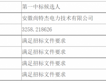 中标 | 安徽公司新能源公司分布式<em>光伏发电项目EPC</em>公开招标中标候选人公示