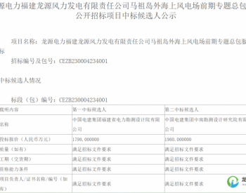 中标 | 中国电建拟中标300MW海上风电项目