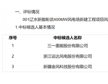 5.75亿元！辽水新能<em>辽宁彰武</em>400MW风电项目候选人公示