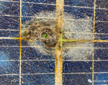 澳大利亚：能源巨头AGL计划合作开展<em>太阳能电池板</em>回收再利用业务