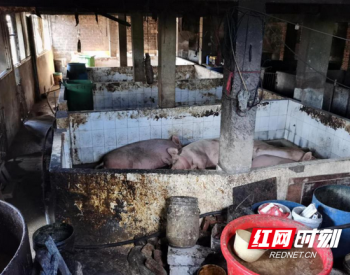 典型案例<em>通报</em> | 湖南省湘潭市畜禽养殖污染问题突出 群众反映强烈