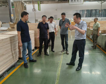 湖北宜昌市生态环境局组织检查组开展重点行业领域