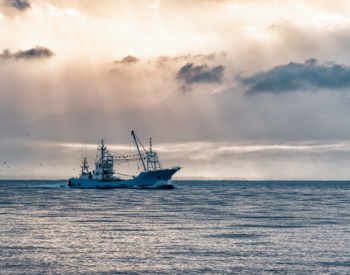 <em>海洋治理</em>新挑战：气候变化致使金枪鱼渔业和深海采矿的范围重叠