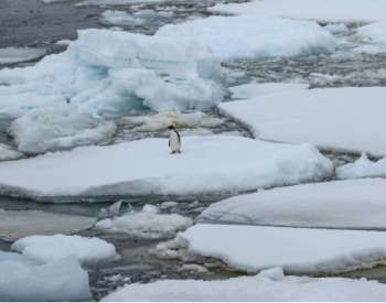 全球气候警示！南极海冰面积创初冬历史新低