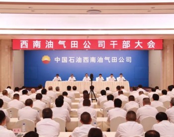 中国<em>石油集团</em>调整西南油气田公司领导班子