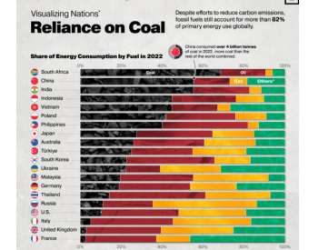 现在世界上哪些国家最<em>依赖</em>煤炭？