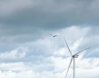 350MW！<em>丹麦北海</em>2个海上风电场获许可证