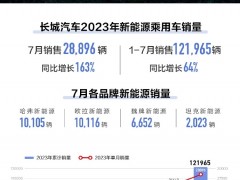 长城汽车7月销售<em>新能源乘用车</em>28896辆，同比增长163%