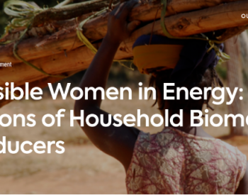 能源领域的<em>女性</em>大军：发展中国家的生物质“生产商”