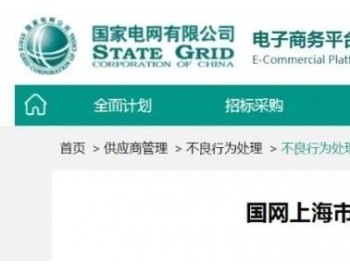 2家线缆企业被<em>国网上海</em>市电力公司暂停产品中标资格