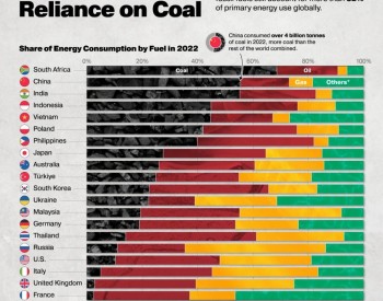 一次能源<em>煤炭占比</em>最大的国家：不是中国，也不是印度