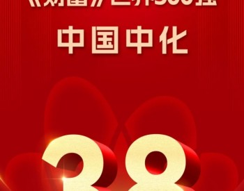 中国中化位列《财富》世界500强第38位