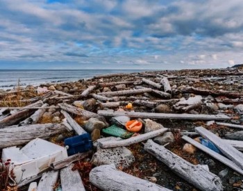 <em>公民</em>科学家在北极沿岸发现了大量的零碎微塑料