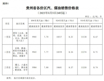 贵州油价：8月9日一价区92号<em>车用汽油</em>（国VIB）最高零售价为8.21元/升