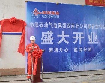 <em>中海石油气电集团</em>西南分公司桂北地区首座合作加气站正式投入运营
