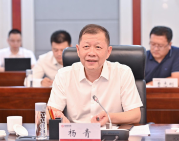 国家电投钱智民与东风集团总经理杨青会谈