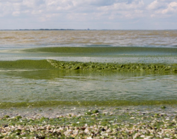 水体溶解氧含量持续下降：<em>伊利湖</em>未来可能会出现更多藻华