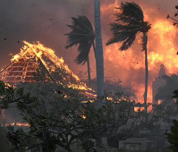 起火原因或涉及电力公司！夏威夷大火已致93人遇难