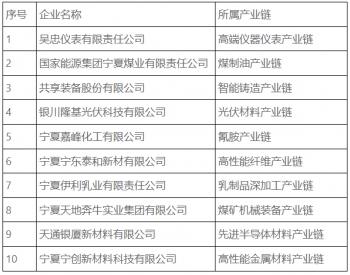 宁夏回族自治区工信厅发布认定自治区第一批重点产业链“链主”企业的通知