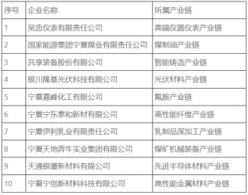 宁夏回族自治区工信厅发布<em>认定</em>自治区第一批重点产业链“链主”企业的通知