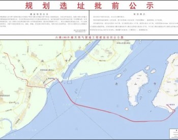 浙江六横LNG外输<em>天然气管道工程</em>建设项目规划选址公示