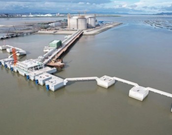 广东阳江<em>LNG项目</em>码头工程取得交工前夕里程碑攻坚胜利