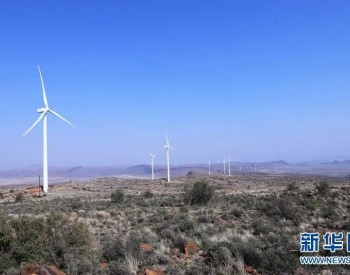 追风输能，国家能源集团10年打造<em>中非能源</em>合作典范