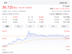 离谱！“越南特斯拉”VinFast股价<em>暴涨</em>160%：市值一度超过比亚迪