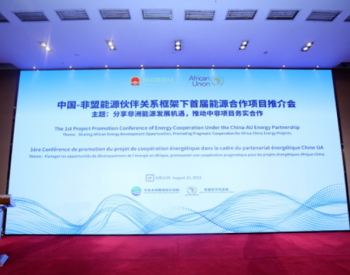 “碳”索未来，共话低碳｜隆基出席中国—非盟能源伙伴关系框架下首届能源项目推介会