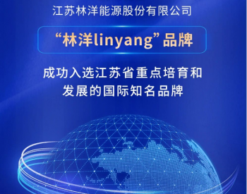 匠心铸就品牌！“林洋linyang”再次入选江苏省重点培育和发展国际<em>知名品牌</em>