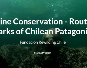 智利巴塔哥尼亚<em>海域</em>保护面积新突破：从1%扩大到10%
