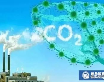 一家<em>化工企业</em>的“双碳”探索：从“排碳买碳”到“捕碳吃碳”