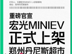 五菱宏光MINIEV车型正式上架河南郑州丹尼斯超市
